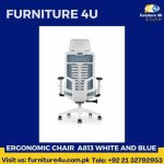 Ergonomic Chair A813 White And Blue
