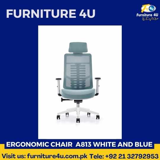Ergonomic chair A813 white and blue