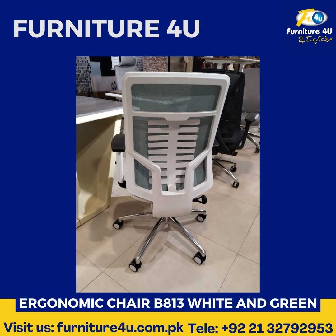 Ergonomic Chair B813 White And Green