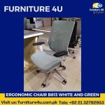 Ergonomic Chair B813 White And Green